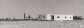 sekem1_290.jpg